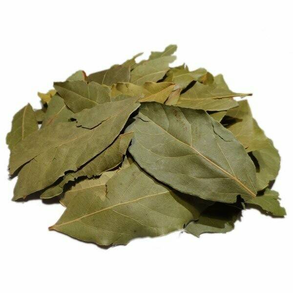 laurier feuille