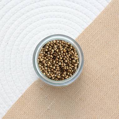 poivre-blanc-grains