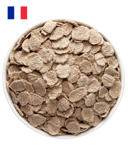 flakes sarrasin